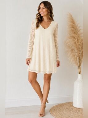Pinkblush Cream V-Neck Long Sleeve A-Line Dress